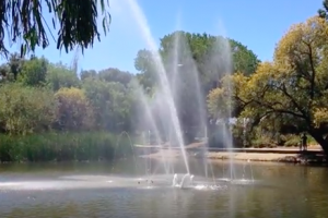 Fountain Buchanan Park