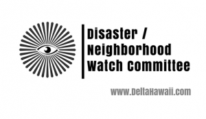 Disaster Neighborhood Watch